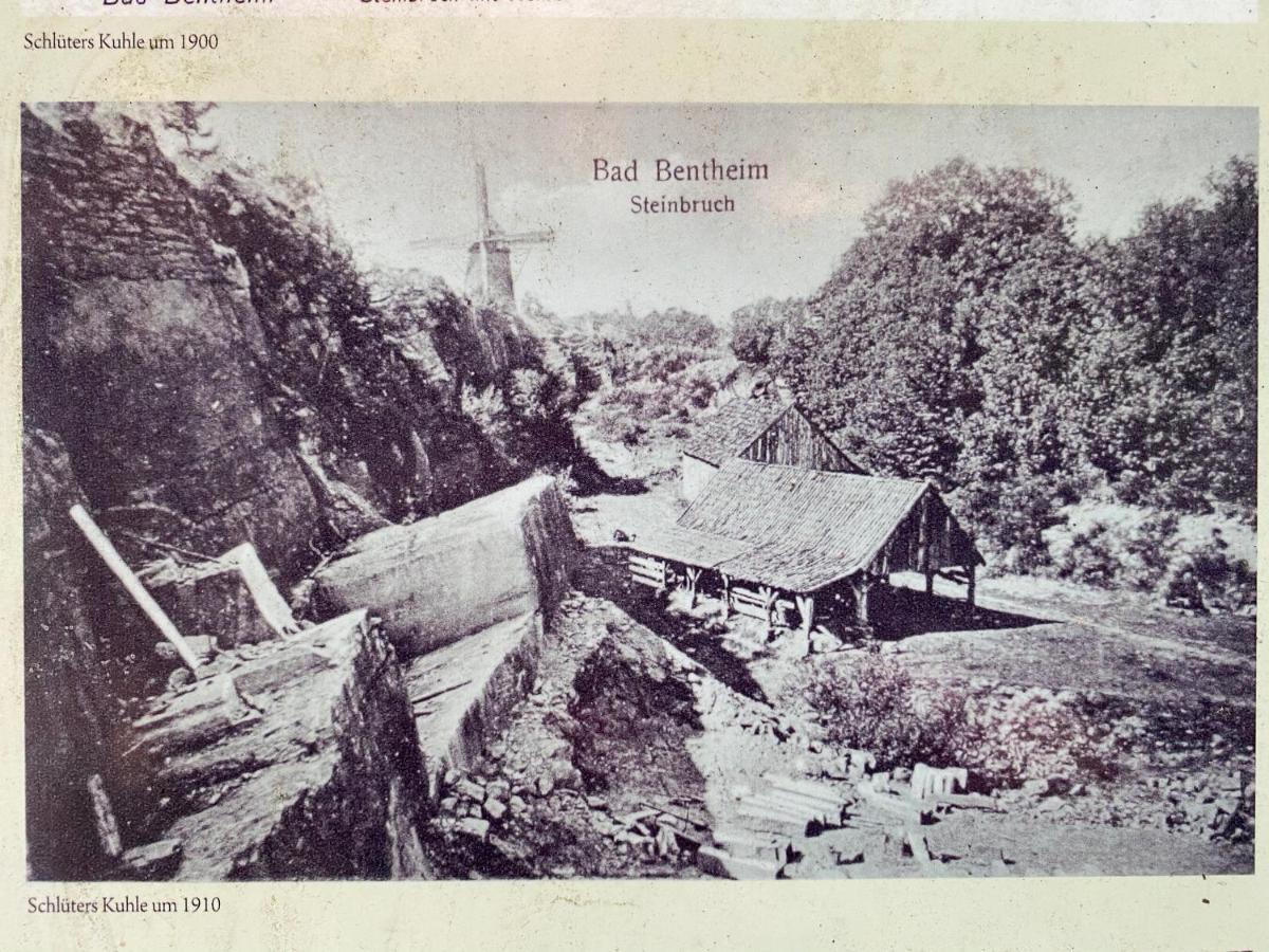 "An Der Alten Muehle 1" Fewo 120 Qm, Zwei Grosse Schlafzimmer, Suedbalkon, Gartenterrasse & Wallbox バート・ベントハイム エクステリア 写真