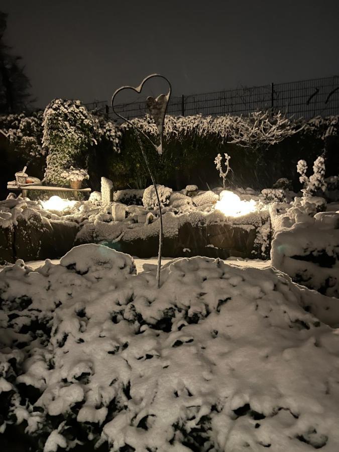 "An Der Alten Muehle 1" Fewo 120 Qm, Zwei Grosse Schlafzimmer, Suedbalkon, Gartenterrasse & Wallbox バート・ベントハイム エクステリア 写真